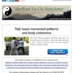 Taiji: basic movement patterns and body coherence - 21st November Newsletter