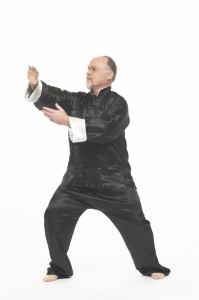 Ian Deavin performs chen style Laojia form