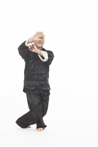 Ian Deavin performs chen style Laojia form