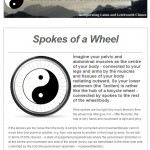 Tai Chi - Spokes of a Wheel - 18th November 2014 newsletter