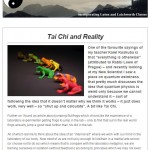 Tai Chi and Reality, 15th December 2014 Newsletter