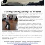 Standing, walking, running - all the same, 10th January 2017 Newsletter